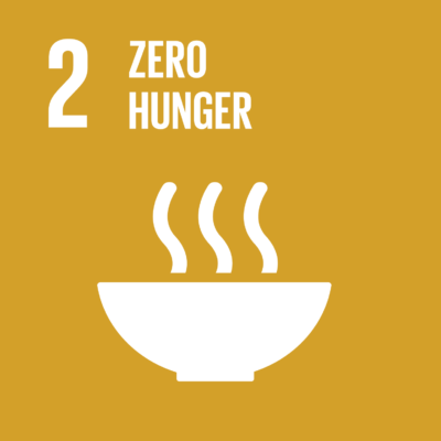 Zero Hunger Icon