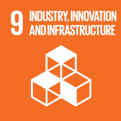 Industry, Innovation and Infrastructure Icon